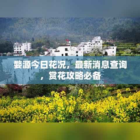 婺源今日花况，最新消息查询，赏花攻略必备