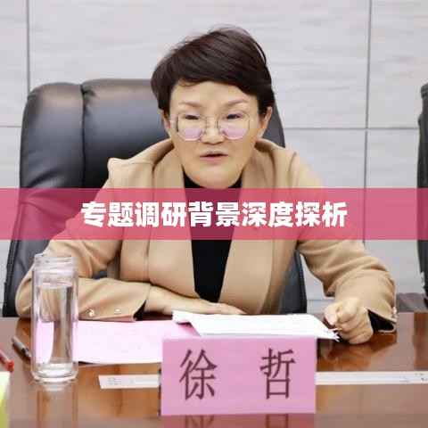 专题调研背景深度探析