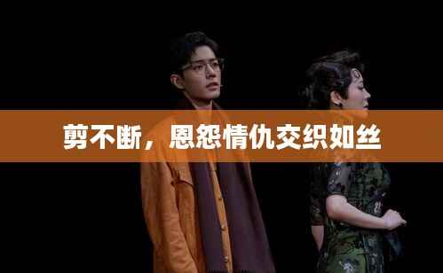 剪不断，恩怨情仇交织如丝