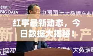 红宇最新动态，今日数据大揭秘！