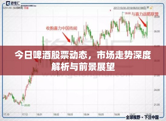 今日啤酒股票动态，市场走势深度解析与前景展望