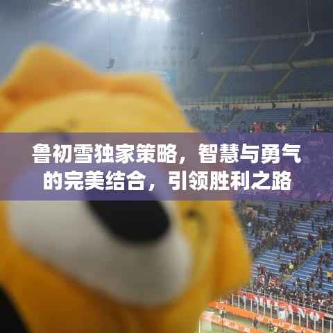 鲁初雪独家策略,智慧与勇气的完美结合,引领胜利之路