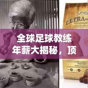 全球足球教练年薪大揭秘，顶级教练收入榜单重磅出炉！