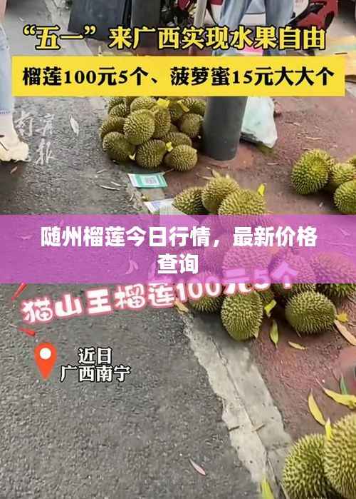 随州榴莲今日行情，最新价格查询