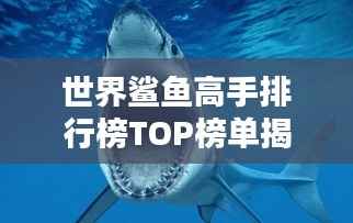 世界鲨鱼高手排行榜TOP榜单揭晓！