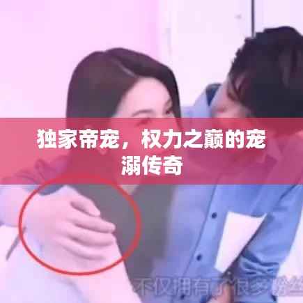 独家帝宠，权力之巅的宠溺传奇