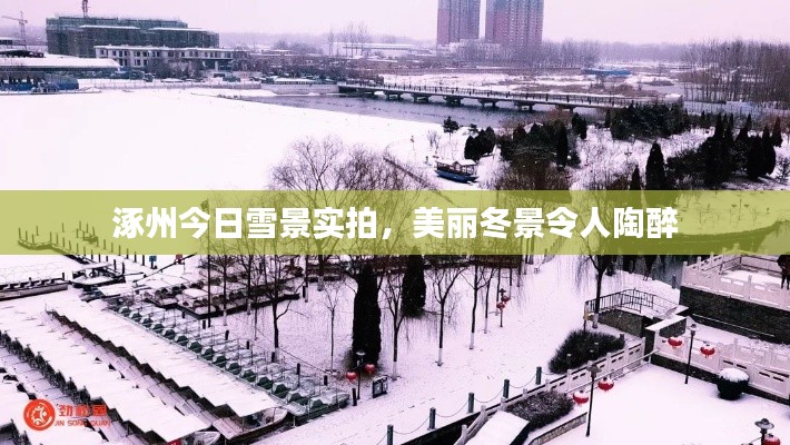 涿州今日雪景实拍，美丽冬景令人陶醉
