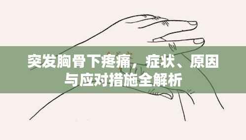 翰飞戾天 第3页