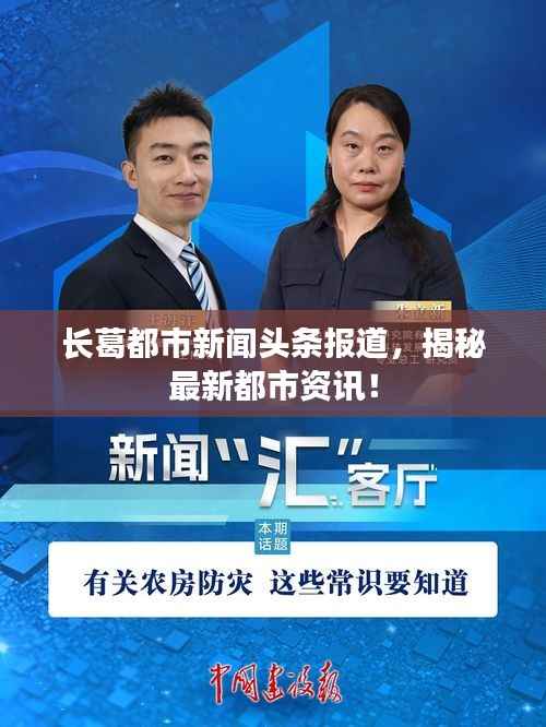 令行禁止 第4页