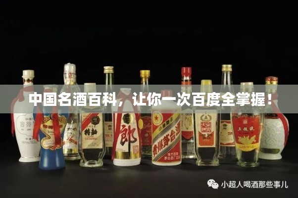 中国名酒百科，让你一次百度全掌握！