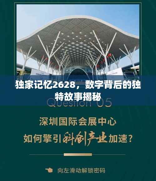 独家记忆2628，数字背后的独特故事揭秘