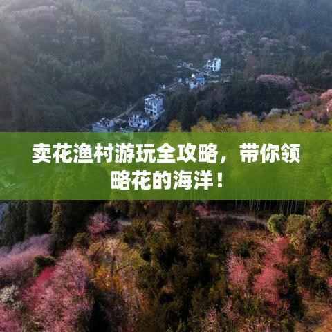 卖花渔村游玩全攻略，带你领略花的海洋！