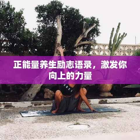 正能量养生励志语录，激发你向上的力量