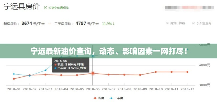 宁远最新油价查询，动态、影响因素一网打尽！
