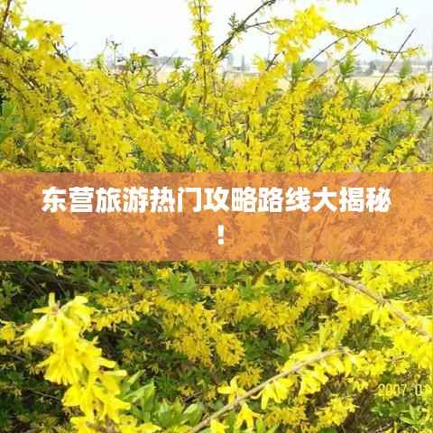 东营旅游热门攻略路线大揭秘！