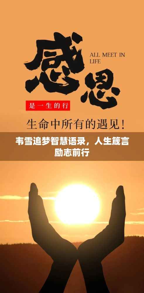 韦雪追梦智慧语录，人生箴言励志前行