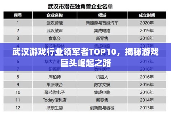 武汉游戏行业领军者TOP10，揭秘游戏巨头崛起之路