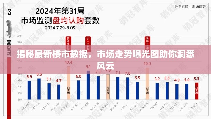 揭秘最新楼市数据，市场走势曝光图助你洞悉风云