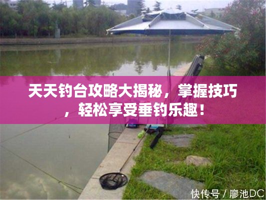 天天钓台攻略大揭秘，掌握技巧，轻松享受垂钓乐趣！