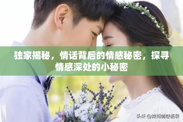 独家揭秘，情话背后的情感秘密，探寻情感深处的小秘密