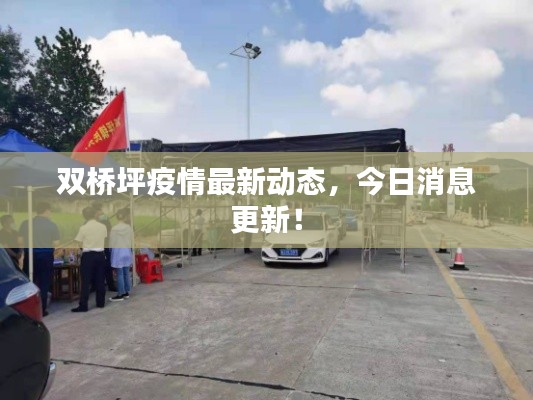 双桥坪疫情最新动态，今日消息更新！