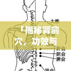 「揭秘肾俞穴，功效与作用，百度收录标准，健康生活从此开始」