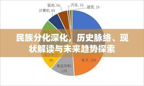 民族分化深化，历史脉络、现状解读与未来趋势探索