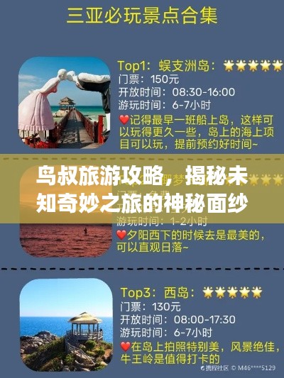 鸟叔旅游攻略，揭秘未知奇妙之旅的神秘面纱